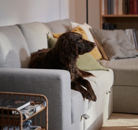 IKEA: Best Budget Pet-Friendly Sofa