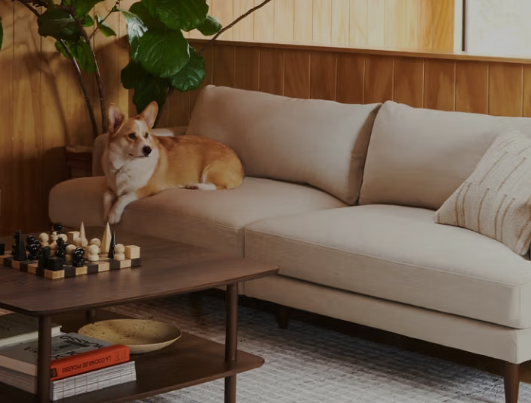 Burrow: Best Modular Sofa for Active Dog Households