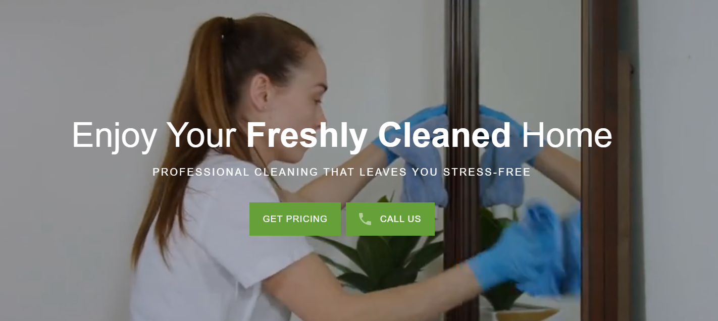 The Cleaning Authority