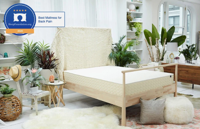 The Eco-Conscious / High-Durability Alternative: EcoCloud Hybrid