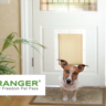 Ranger Pet Doors Reviews