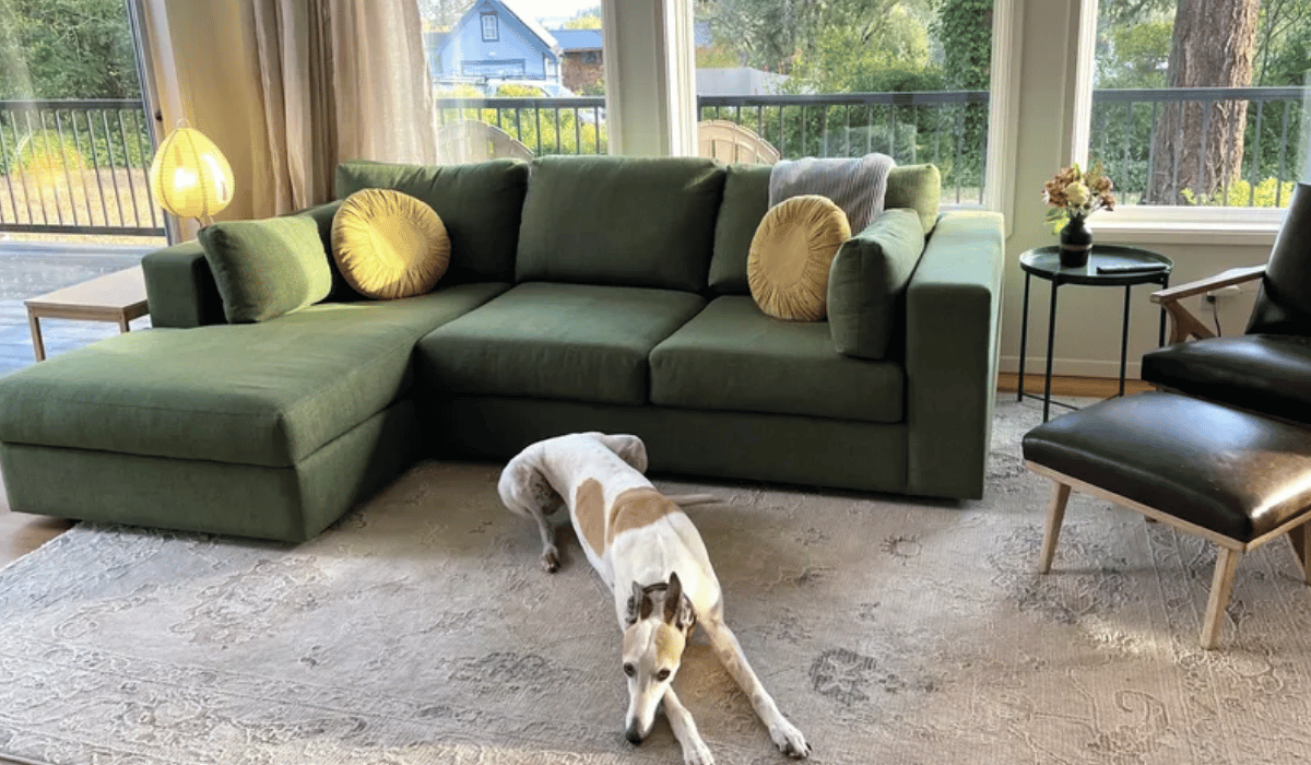 For Lounging with Kids
